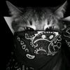 zahra_110428.._