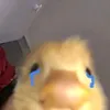 vit_masterd