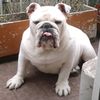 yo.com.estilo2