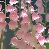 an20_03