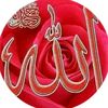 user6865008735515
