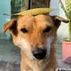 an.giang.xu.so.than.ho
