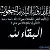 user28490486131510