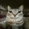 xolodilnik_169