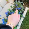 gul.mina33