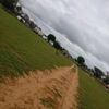 user91613527620017