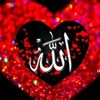 aliy6061