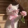 nadia.ahmed9464