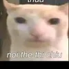 nguyendangviet13