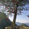 nguyentranminhduc141011