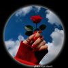 user354080248