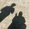 kholod.mohamed262