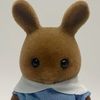 rabbitfleas