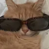 5__lel