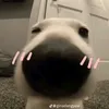 myhien_2507
