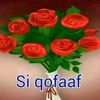user6058380329750