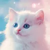 gattina950