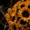 sunflowers_843