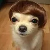 jonamaroca