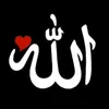 user4597170906245