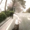 p_rcqious