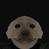 doodooman54321