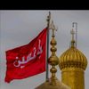 syed.taqi.1512