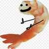 silly_shrimp24