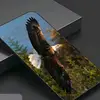 omid.timori03