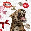 lollcom