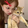 lexiimin__