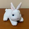 snoopycutecute