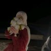 azzaldin.alsatam