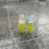 user4452578814619