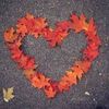 fall_autumn25