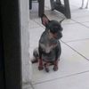 user.06658