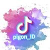 pigeon_id