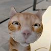 chantarlai1