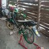 kontol.rorr6
