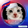 kok_khmercambodia