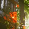 uyenuyen_252