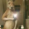 bbycito_6533