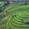 thientam_6699