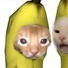 rexzzz_.4
