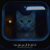 abd.obayat