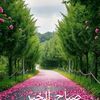 user3161653320932
