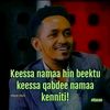 seenaa.rirmii.nya3