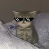 trinh_keet