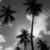 dennyphvm