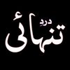 zainab.313813